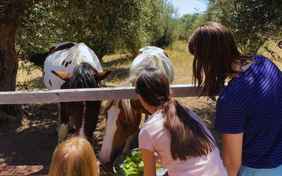 Zu Besuch bei den Tieren